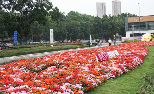 商場(chǎng)室外綠化養(yǎng)護(hù)